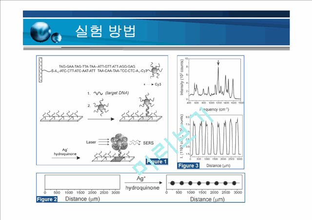 DNA Detection   (6 )